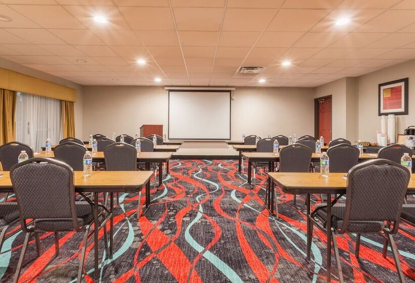 Hotel Holiday Inn Express  & Suites Manteca