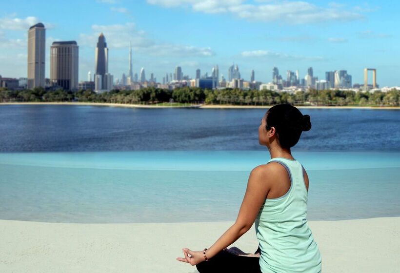 Hôtel Park Hyatt Dubai