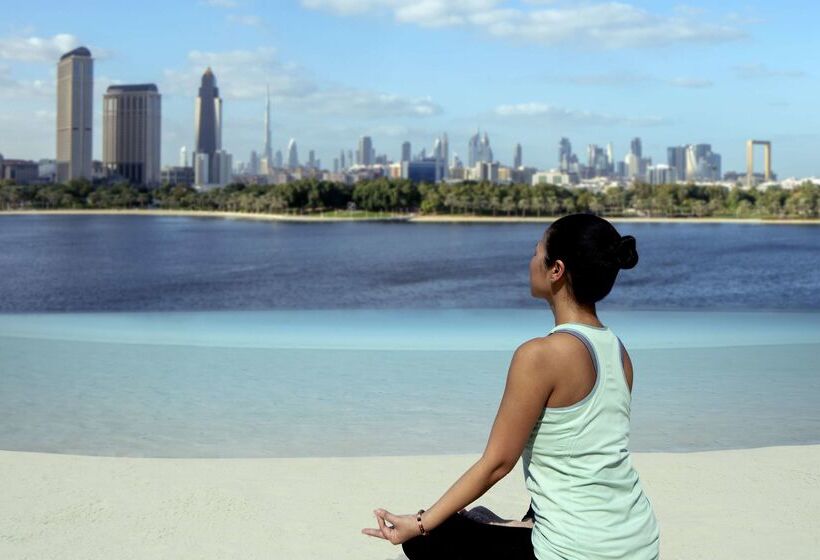 Hôtel Park Hyatt Dubai