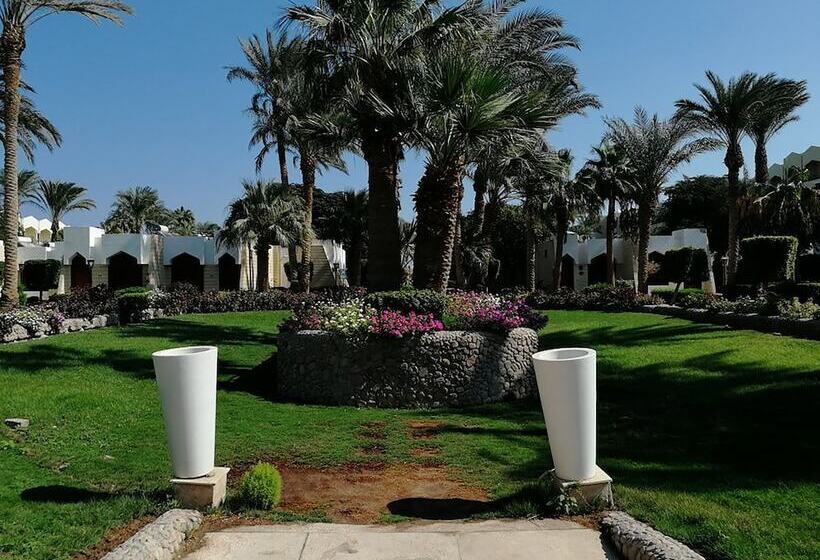 هتل Zya Regina Resort And Aqua Park Hurghada