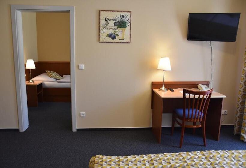 Fotos del hotel Apart Austria Suites:  30