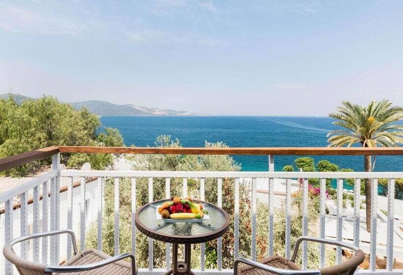 هتل Blue Dreams Resort Bodrum Ultra All Inclusive