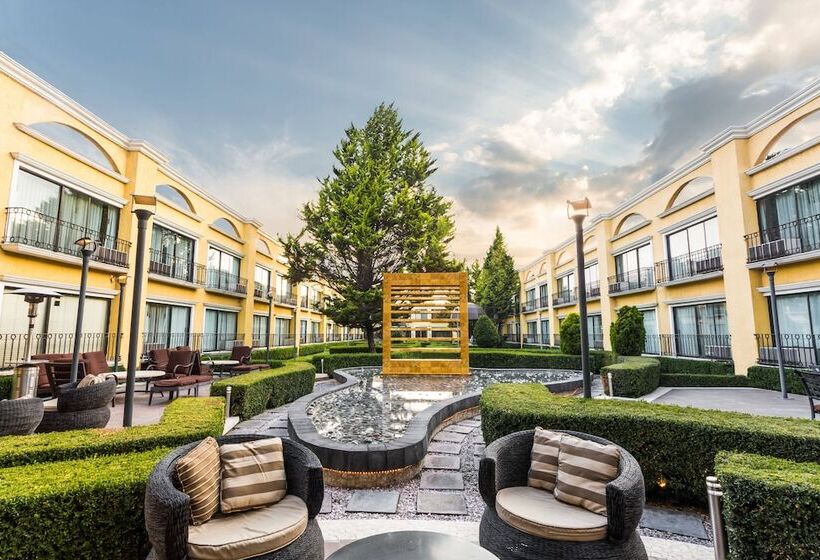 هتل Courtyard Toluca Airport
