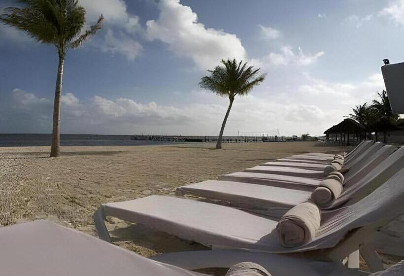 Fotos del hotel Ocean Spa Hotel Cancun:  50