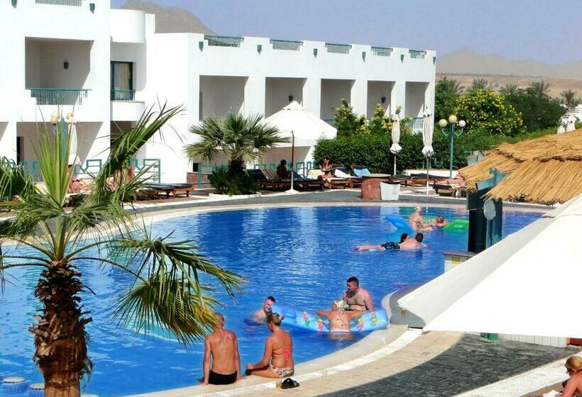 酒店 Sharm Holiday Resort