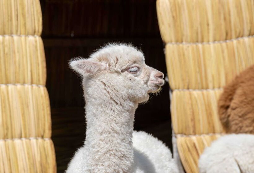 ホテル Sonesta Posadas Del Inca Puno