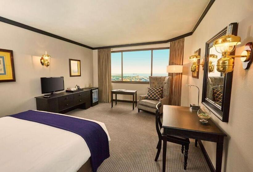 酒店 Southern Sun Cape Sun