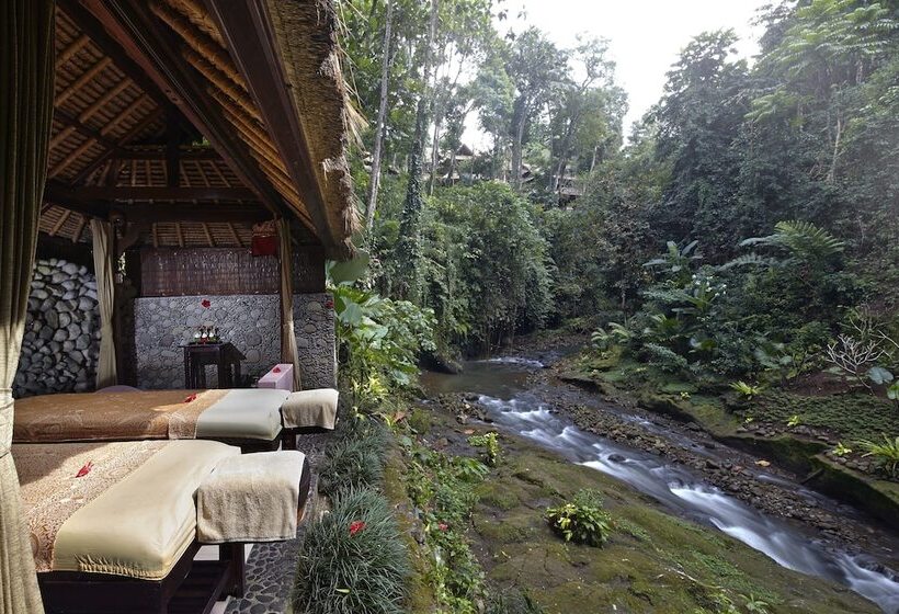 Fotos del hotel Tjampuhan Spa:  23