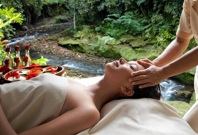 Fotos del hotel Tjampuhan Spa:  9