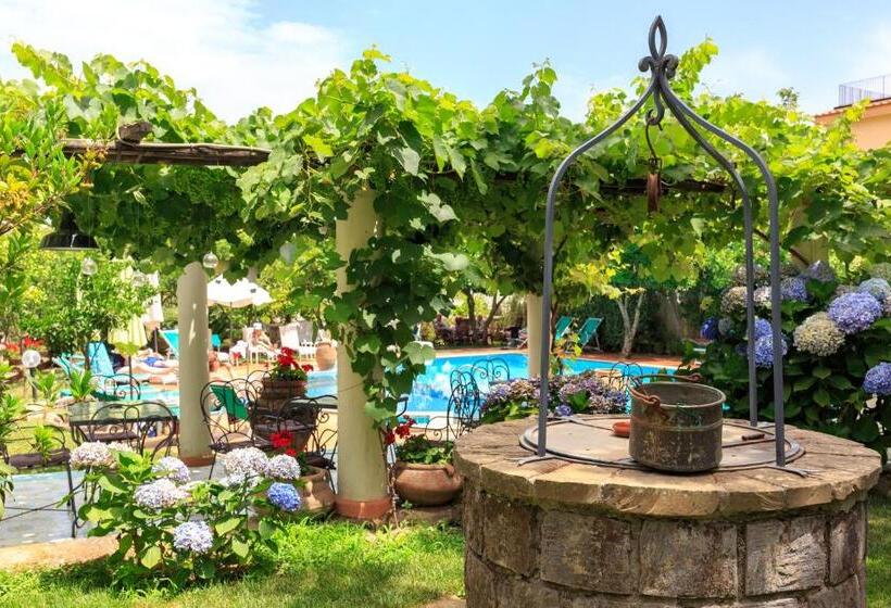 Отель Villa Fernanda