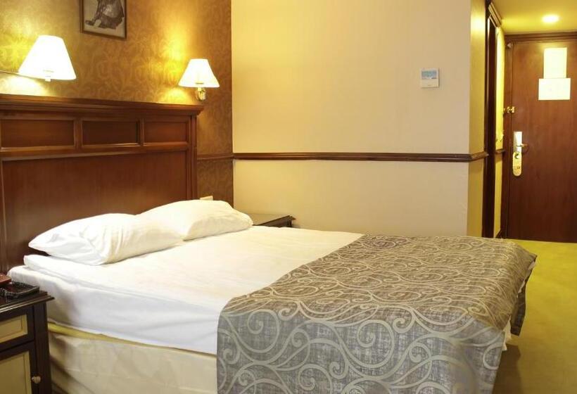 Fotos del hotel Topkapi Inter Istanbul:  3