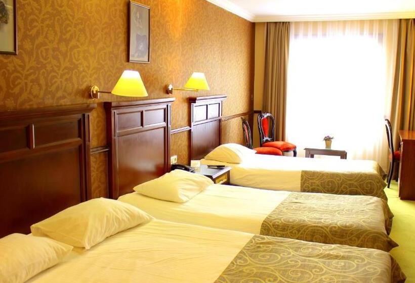 Fotos del hotel Topkapi Inter Istanbul:  12