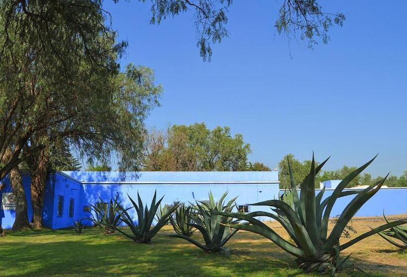 هتل Villas Arqueologicas Teotihuacan