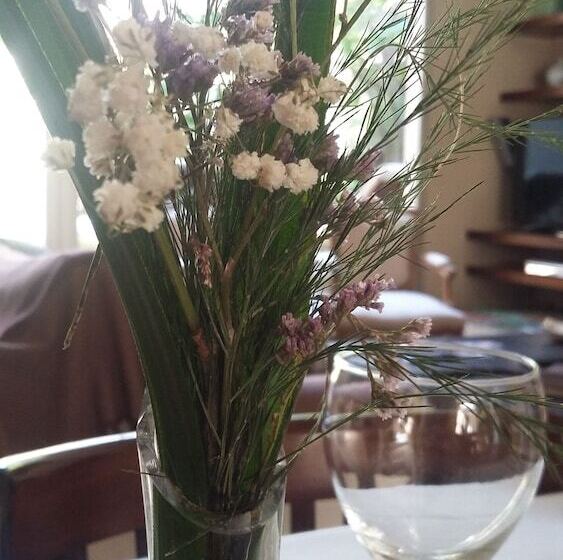 Fotos del hotel 248 Finisterra:  28