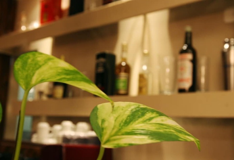 Fotos del hotel 248 Finisterra:  5