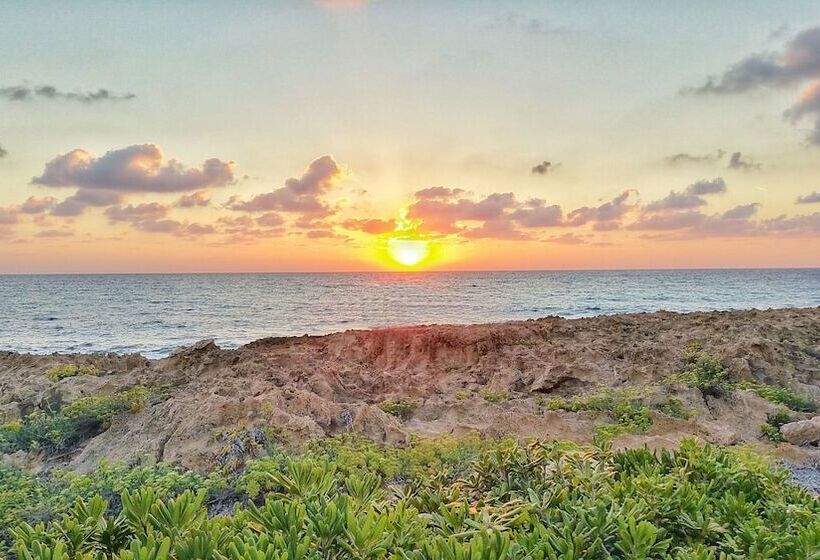 هتل Cynthiana Beach