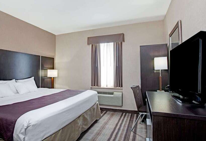 هتل Days Inn By Wyndham Jamaica / Jfk Airport