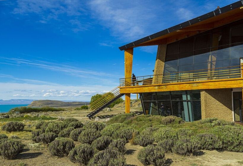 Fotos del hotel Design Suites Calafate:  27