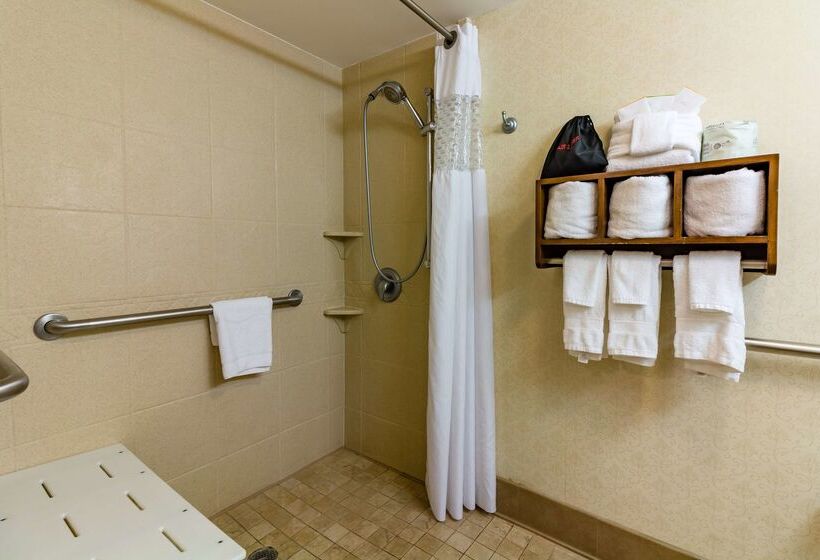 هتل Hampton Inn Savannah Historic District