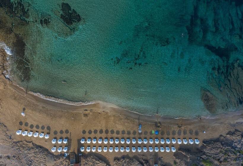 هتل Venus Beach  Paphos