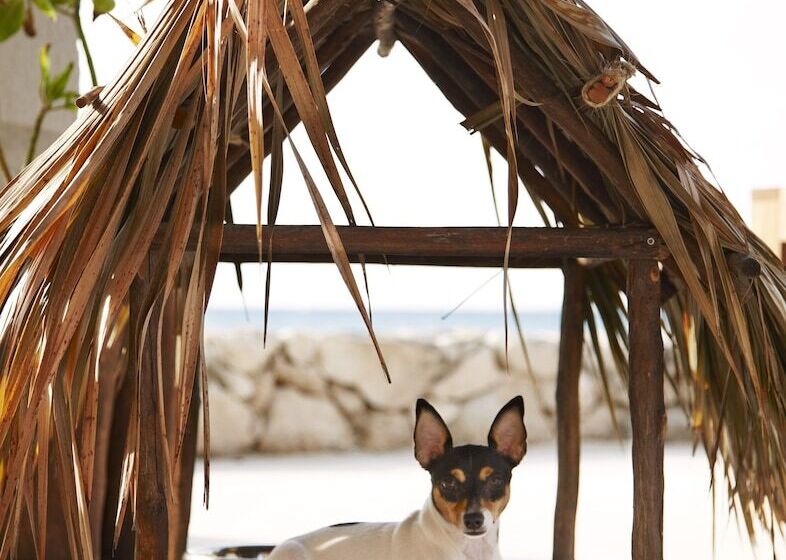 هتل Viceroy Riviera Maya, A Luxury Villa Resort