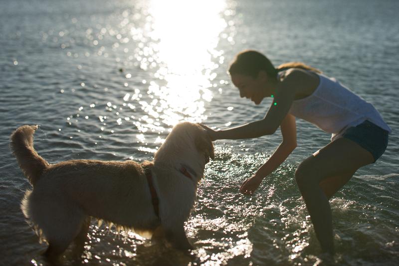 אתר נופש Residence Pierre & Vacances Les Restanques Du Golfe De Sainttropez