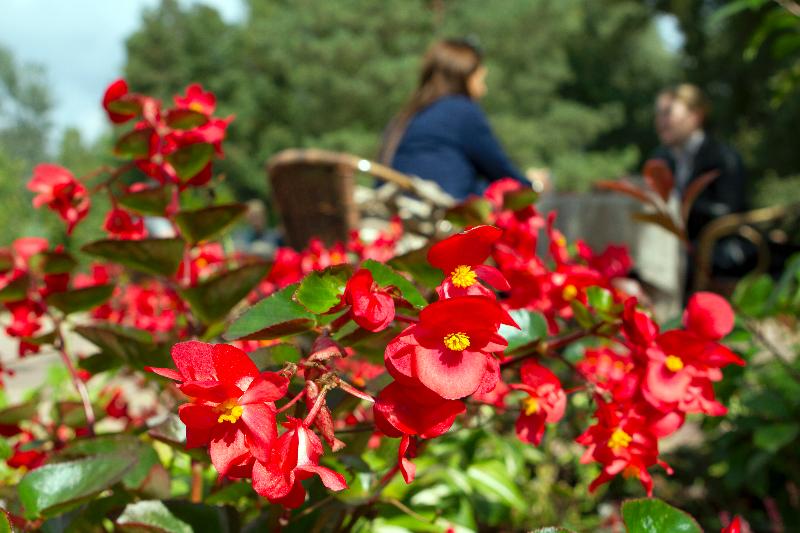 Fotos del hotel Alfa Art:  12