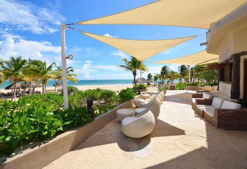 Fotos del hotel Catalonia Playa Maroma  All Inclusive:  28