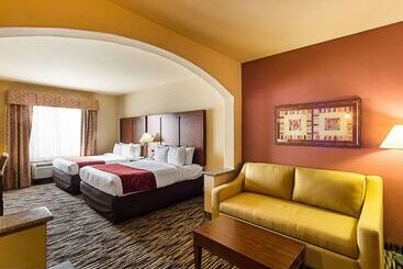 Hotel Comfort Suites At Plaza Mall Mcallen