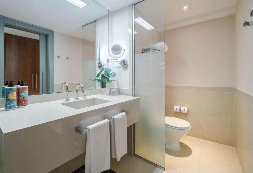 Fotos del hotel Grand Mercure Rio De Janeiro Copacabana Regente:  31