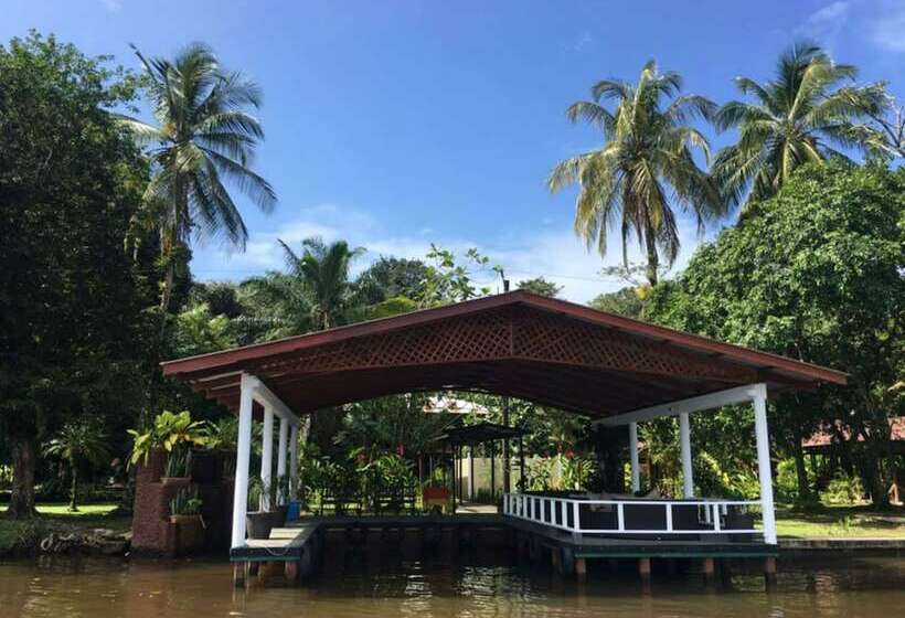 Fotos del hotel Manatus:  20