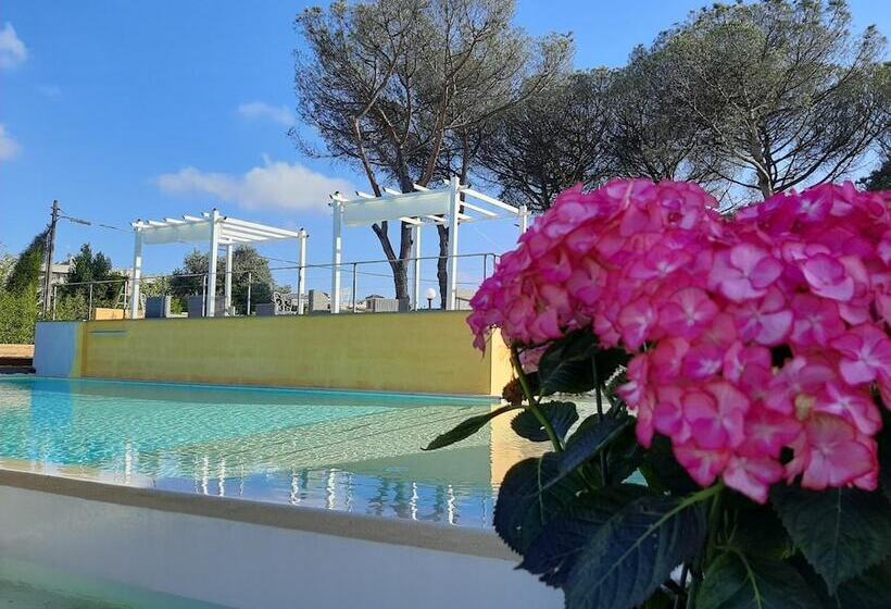 Fotos del hotel Orto Di Roma:  11