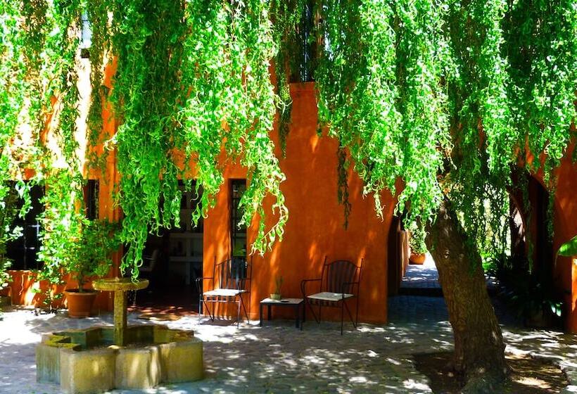 هتل روستایی Finca Adalgisa Wine