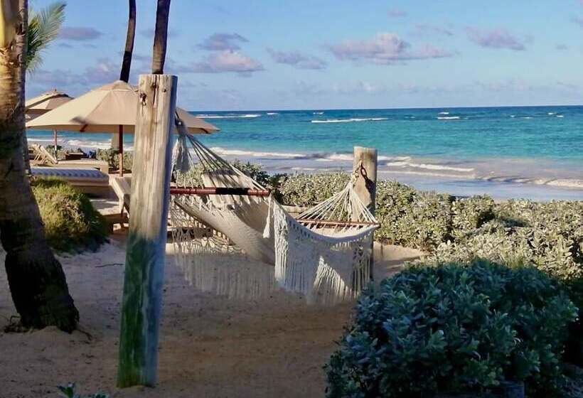 Fotos del hotel VIK Hotel Cayena Beach:  3