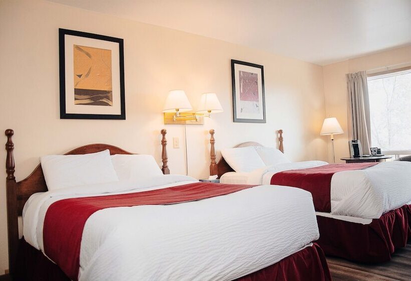 هتل Ceilidh Country Lodge