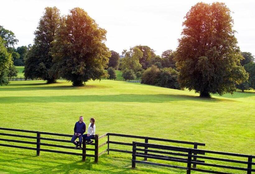 هتل Lyrath Estate