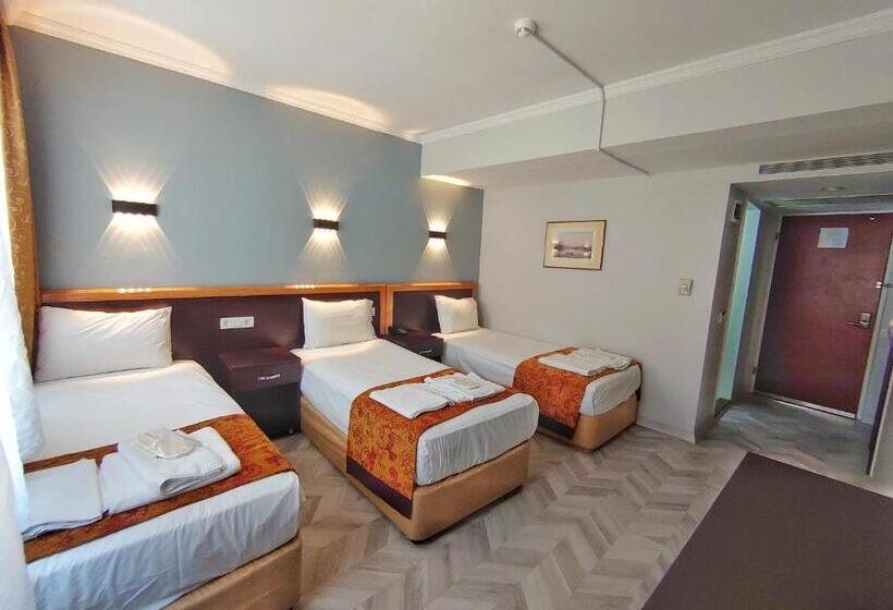 Fotos del hotel Orient Mintur:  8