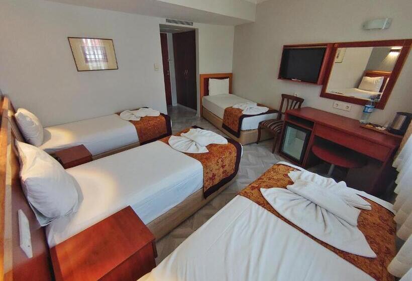 Fotos del hotel Orient Mintur:  9