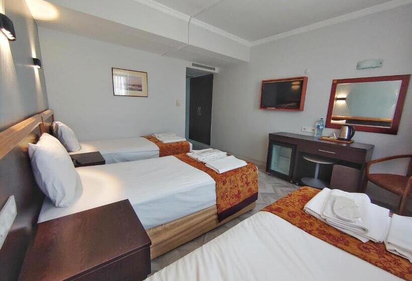 Fotos del hotel Orient Mintur:  10