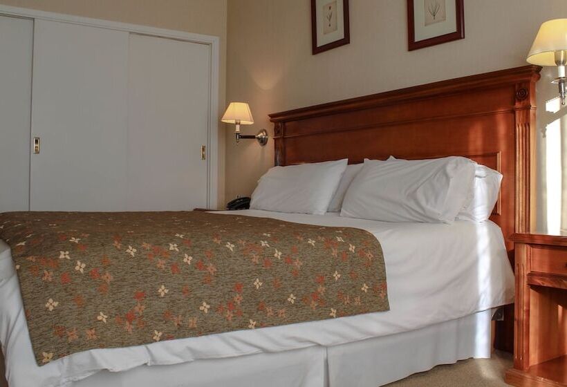 Fotos del hotel Terrazas Del Calafate:  7