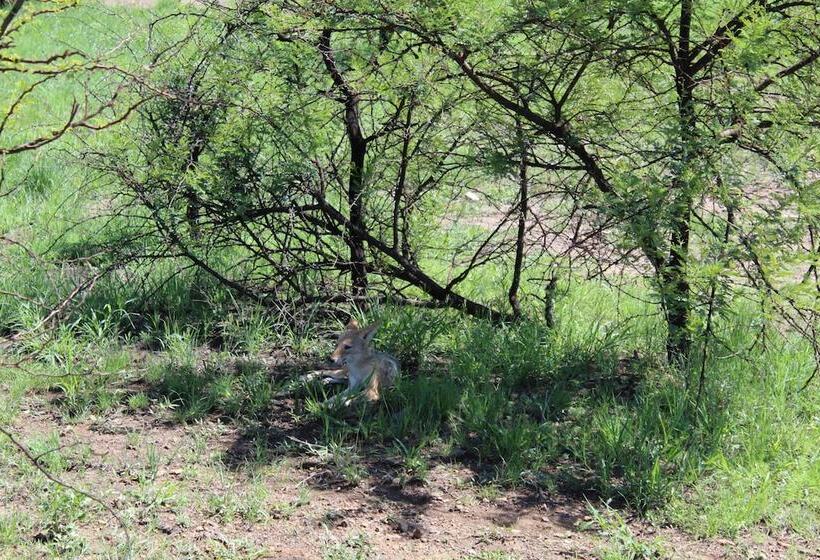 فندق Tshukudu Bush Lodge