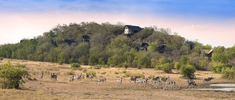 فندق Tshukudu Bush Lodge