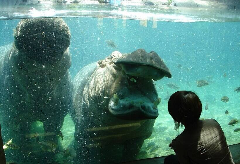 Fotos del hotel Apa Villa  Osakatanimachi 4 Chomeekimae:  17