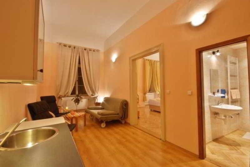 Fotos del hotel Aparthouse U Zlate Podkovy:  12