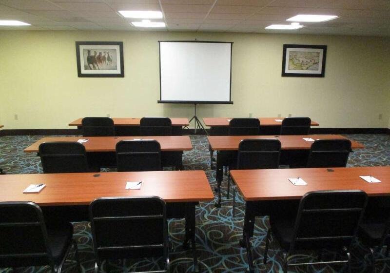 هتل Days Inn & Suites By Wyndham Sam Houston Tollway