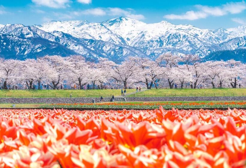 هتل Ana Crowne Plaza Toyama, An Ihg