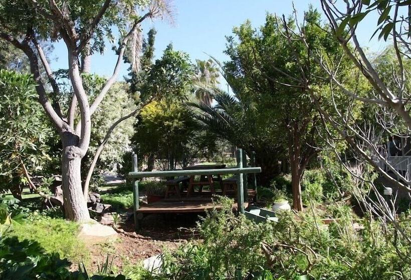 בית מלון כפרי Housemartin Guest Lodge