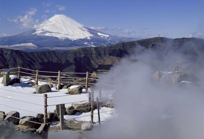 Fotos del hotel Hyatt Regency Hakone Resort And Spa:  69