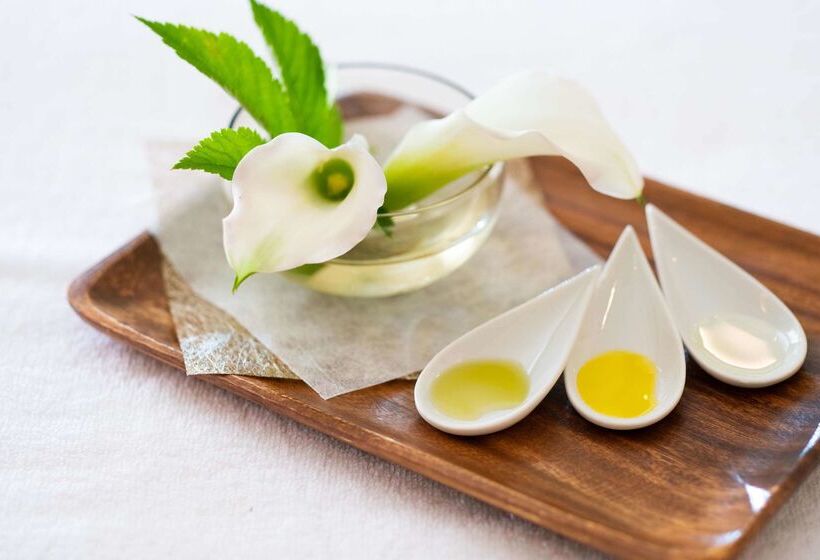 Fotos del hotel Hyatt Regency Hakone Resort And Spa:  65