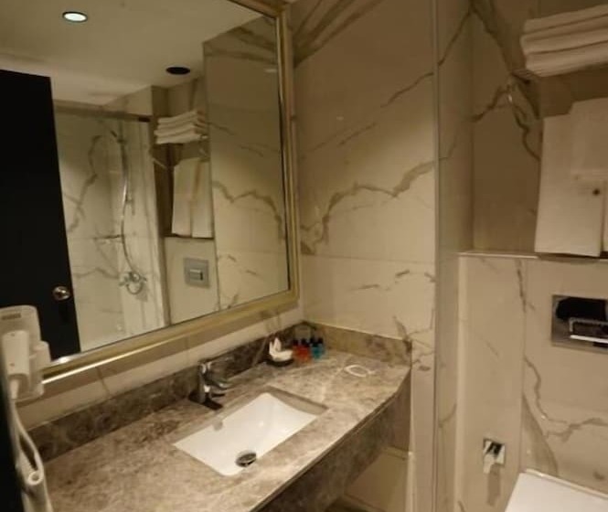 Fotos del hotel Istanbul Kervansaray:  14